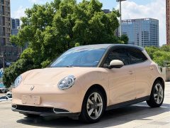 Ora Good Cat 400kmStandard Range Edition - ფოტო 1