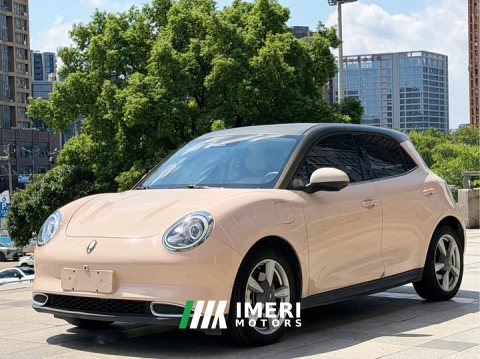 2021 Ora Good Cat 400kmStandard Range Edition - ავტომობილი ჩინეთიდან