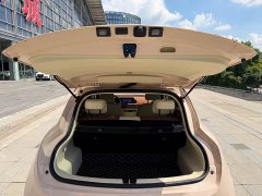 Ora Good Cat 400kmStandard Range Edition - ფოტო 11