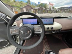 Wuling Binguo 410km Lingxi Premium Edition - ფოტო 16