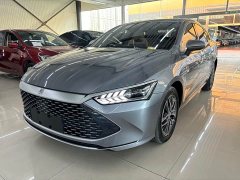 BYD Qin Plus Champion Edition DM-i 120KM Exceed - ფოტო 1