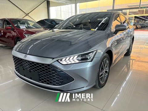 2023 BYD Qin Qin Plus Champion Edition DM-i 120KM Exceed - ავტომობილი ჩინეთიდან