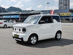 Geely Panda Mini 200km Endurance Edition - ფოტო 1