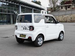 Geely Panda Mini 200km Endurance Edition - ფოტო 10
