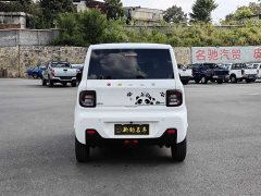 Geely Panda Mini 200km Endurance Edition - ფოტო 11