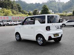 Geely Panda Mini 200km Endurance Edition - ფოტო 12