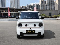 Geely Panda Mini 200km Endurance Edition - ფოტო 2