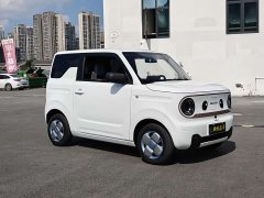 Geely Panda Mini 200km Endurance Edition - ფოტო 3
