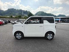 Geely Panda Mini 200km Endurance Edition - ფოტო 5