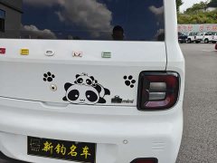 Geely Panda Mini 200km Endurance Edition - ფოტო 7