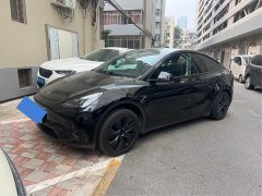 Tesla Model Y Rear-Wheel Drive - ფოტო 1