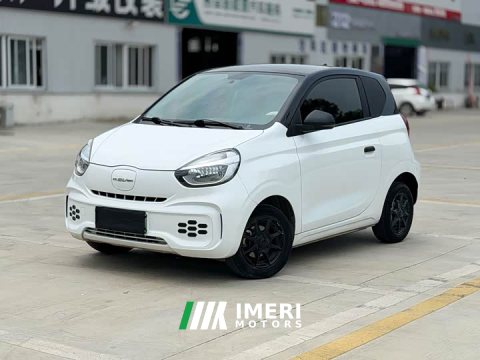 2022 SAIC Clever 311km Vitality Pop Edition - ავტომობილი ჩინეთიდან