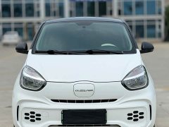 SAIC Clever 311km Vitality Pop Edition - ფოტო 3