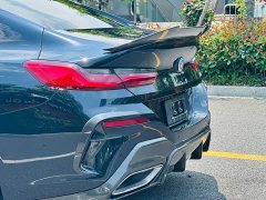 BMW 8 Series 840i Four-Door Coupe M Sport Package - ფოტო 17