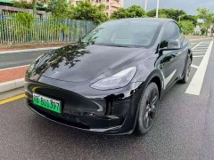 Tesla Model Y Rear-Wheel Drive - ფოტო 1