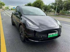 Tesla Model Y Rear-Wheel Drive - ფოტო 2