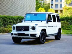 Mercedes-Benz G-Class G 500 - ფოტო 1