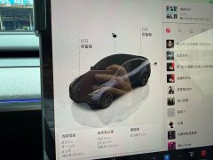 Tesla Model Y Rear-Wheel Drive - ფოტო 11