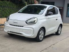 SAIC Corey Wei CLEVER 302km All-Purpose Edition - ფოტო 1