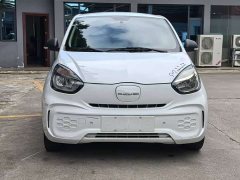 SAIC Corey Wei CLEVER 302km All-Purpose Edition - ფოტო 2
