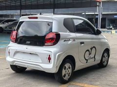 SAIC Corey Wei CLEVER 302km All-Purpose Edition - ფოტო 4
