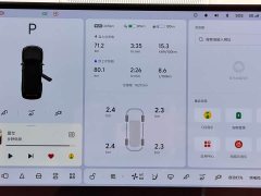 Li Auto L9 Pro - ფოტო 19