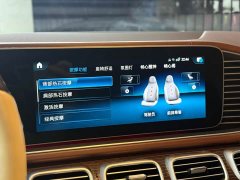Mercedes-Benz Maybach GLS 480 4MATIC - ფოტო 14