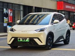 BYD Seagull Glory Edition 405km Flying Edition - ფოტო 1