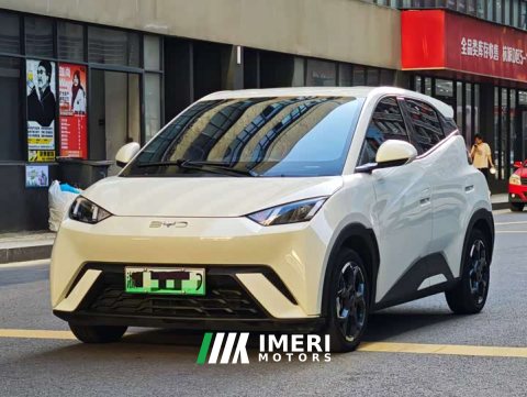 2024 BYD Seagull Glory Edition 405km Flying Edition - ავტომობილი ჩინეთიდან