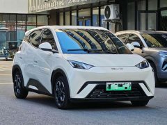 BYD Seagull Glory Edition 405km Flying Edition - ფოტო 3