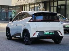 BYD Seagull Glory Edition 405km Flying Edition - ფოტო 7