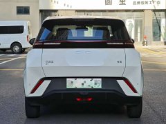 BYD Seagull Glory Edition 405km Flying Edition - ფოტო 8