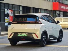 BYD Seagull Glory Edition 405km Flying Edition - ფოტო 9