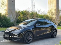 Tesla Model Y Performance All-Wheel Drive - ფოტო 1