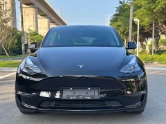 Tesla Model Y Performance All-Wheel Drive - ფოტო 2