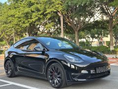 Tesla Model Y Performance All-Wheel Drive - ფოტო 3