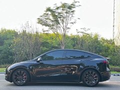 Tesla Model Y Performance All-Wheel Drive - ფოტო 5