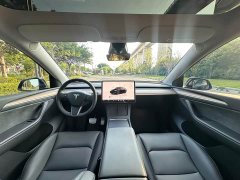 Tesla Model Y Performance All-Wheel Drive - ფოტო 6