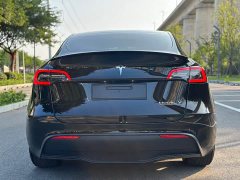 Tesla Model Y Performance All-Wheel Drive - ფოტო 8