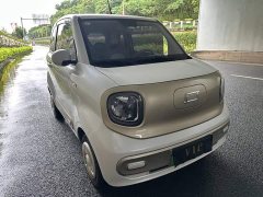 FAW Besturn Xiaoma 222km Dynamic Edition - ფოტო 3