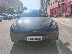 Tesla Model Y Rear-Wheel Drive - ფოტო 1