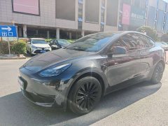 Tesla Model Y Rear-Wheel Drive - ფოტო 2