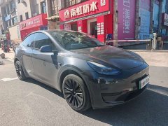 Tesla Model Y Rear-Wheel Drive - ფოტო 3
