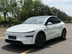 Tesla Model Y Rear-Wheel Drive - ფოტო 1