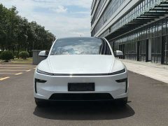 Tesla Model Y Rear-Wheel Drive - ფოტო 2
