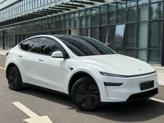 Tesla Model Y Rear-Wheel Drive - ფოტო 3