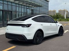 Tesla Model Y Rear-Wheel Drive - ფოტო 4