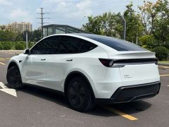 Tesla Model Y Rear-Wheel Drive - ფოტო 6