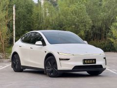 Tesla Model Y Rear-Wheel Drive - ფოტო 3