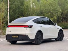 Tesla Model Y Rear-Wheel Drive - ფოტო 4